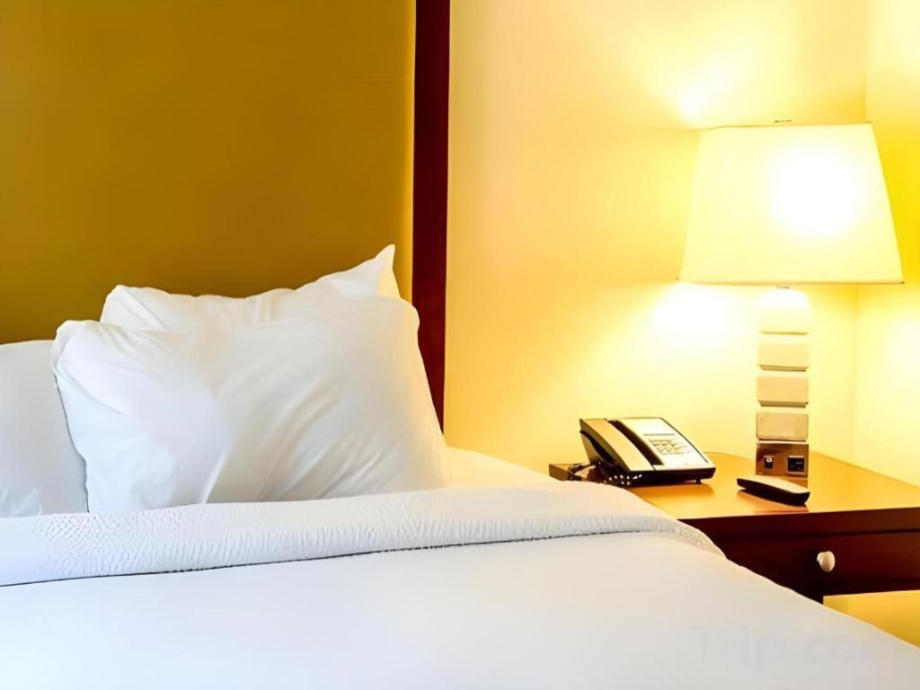 Motel 80 Auckland Extérieur photo